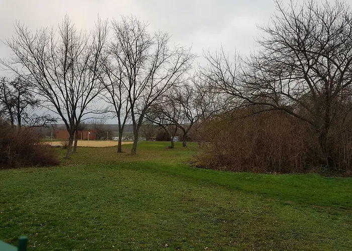 Neu! In Эрфурт